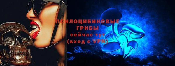 хмурый Вяземский