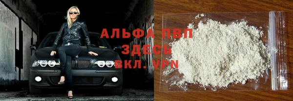 хмурый Вяземский